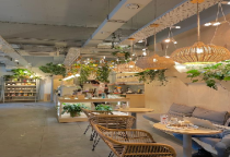 Top 5 Mẫu Cây Xanh Phòng Khách Phổ Biến