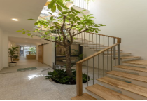 6 Cách Trang Trí Cầu Thang Bằng Cây Xanh