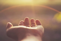 Khám phá sức mạnh của lòng biết ơn