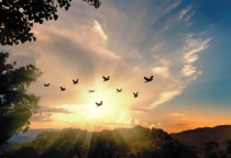 Tỉnh Thức Là Khi Ta Nhận Ra, Hạnh Phúc Chưa Từng Ở Đâu Xa