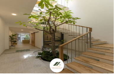 6 Cách Trang Trí Cầu Thang Bằng Cây Xanh