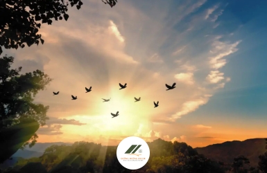 Tỉnh Thức Là Khi Ta Nhận Ra, Hạnh Phúc Chưa Từng Ở Đâu Xa